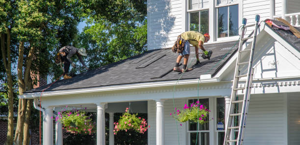 Best Roof Gutter Cleaning  in Cecilia, LA