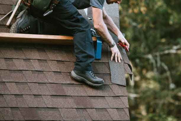 Best Gutter Installation and Roofing  in Cecilia, LA
